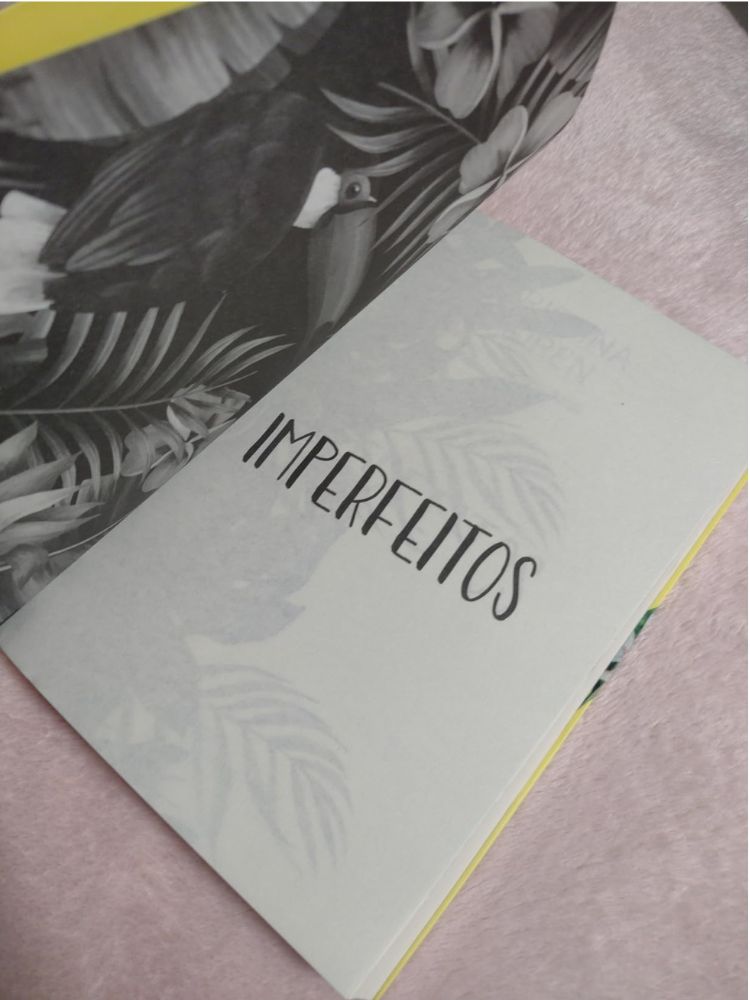 contracapa do livro imperfeitos de christina lauren.